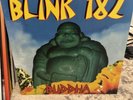 Buddah by Blink 182 (Color Vinyl Variant)