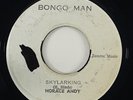Horace Andy 