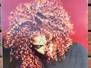 JANET* The Velvet Rope 2xVinyl LP 12