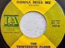 The Thirteenth Floor Elevators – You're Gonna Miss Me - 1966 Psych Rock US 7