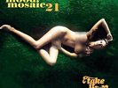 Various Artists Mood Mosaic 21 (Vinyl) (UK IMPORT)