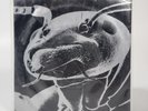 CUSTOM LISTING: Six Shiner Records and 2 Hum Records