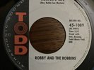 Surf Rock ROBBY & ROBBINS Surfer's Life TODD Garage Rare 45