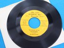 H 1010 PUNCH Are You Kidding Me? Vinyl Beach Bums - Florida Time /Yellow Beret