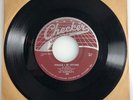 The Flamingos / Would I Be Crying / 1956 Checker 45 VG+++