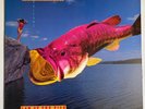 The Radiators - Law Of The Fish ORIGINAL 1987 US 12