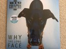 Brand New & Sealed Big Country Why The Long Face RSD Album - Turquoise