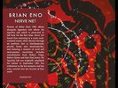 Brian Eno - Nerve Net (Vinyl)