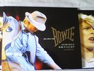 DAVID BOWIE SERIOUS MOONLIGHT LIVE DOUBLE VINYL FROM LOVING THE ALIEN BOX SET