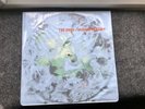THE CURE-PICTURE DISC LP-DISINTEGRATION + PVC SLEEVE-RARE 1ST ISSUE 1989-FIXHP14