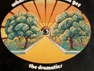 The Dramatics - Whatcha See Is Whatcha Get [Vinyl LP] Stax | German First Press