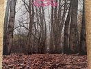 Twink - Think Pink - First Pressing (2343-032) - Includes Pink Inner Sheet