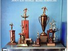Jimmy Eat World - Bleed American [New Vinyl LP]