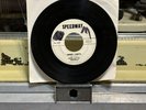DON & THE CHEVELLS -INNER LIMITS(INST.)/(THE ONLY GIRL(VOCAL)/1964/VG+(RARE)