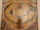 Vinyl LP & 7