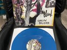 Shallow Believer by The Used VINYL record Store Day Exclusive