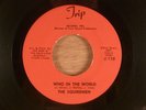 The Squiremen  Who In The World/Secrets  RARE  Florida Garage, Psych 1969 Trip