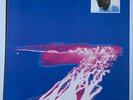WALLY BADAROU - ECHOES ORIG 1984 US 12