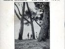 THE BATS BLOCK OF WOOD (1987) NZ 3 TRK 7