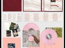 FLORENCE + THE MACHINE Lungs 2LP BOX SET Deluxe PINK VINYL  Anniversary Edition