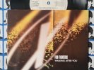 Foo Fighters Walking After You Ween Beacon Light UK 1998 45 7