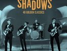 The Shadows 40 Golden Classics (Vinyl) 12
