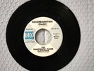 1960's Rock 45  The Thirteenth Floor Elevators  Reverbaration  (Doubt)   (promo)