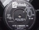 MARVIN GAYE YOU'RE A WONDERFUL ONE UK STATESIDE RECORDS TAMLA MOTOWN SINGLE
