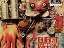 The Mothers Of Invention - Burnt Weeny Sandwich (VINYL LP - DE 1971)