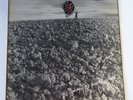 CRASS The Feeding of the 5000 LP Vinyl Album WEENY 2 521984 Repress 1979