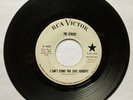 THE OTHERS I Can't Stand This Love, Goodbye  1965 KILLER GARAGE 45