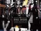 DIXIE CHICKS Taking The Long Way NEW SEALED Gtd Double 150G Vinyl 2 LP Download?