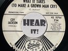 Rockabilly / Country Weeper 45 COY JACKSON What It Takes STARDAY promo 734 hear