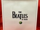 BEATLES   THE BEATLES IN MONO VINYL BOX SET (EU PRESS) (      )