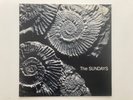 The Sundays - Reading Writing & Arithmetic - Rare 1990 1st Press Vinyl - NM-/EX