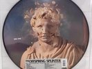 The Offspring - Splinter (RSD2024) LP Picture Vinyl