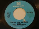 NORTHERN SOUL-THE WINSTONS-COLOR HIM FATHER-METROMEDIA