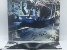 NEW Vampire Weekend SIGNED Only God Was Above Us Vinyl AUTOGRAPHED Jacket LP