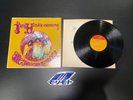 Are You Experienced by Hendrix, Jimi Vinyl Record Album