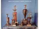 New record Jimmy Eat World 