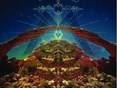CRB [Chris Robinson Brotherhood] - Big Moon Ritual  (Double Vinyl, 2012, SAR)