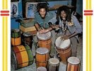 The Congos - Heart Of The Congos (Remastered) (NEW VINYL LP)
