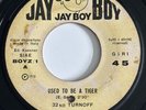 32nd Turnoff Used To Be A Tiger Rare Italy 70’ Freakbeat Garage Mod 45