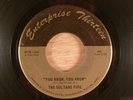 The Sultans Five  You Know, You Know/Calico  RARE  Fuzz Garage Punk