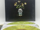 First Press Billy Strings Renewal Yellow Splatter Double Vinyl 2LP Record /1000