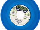 Norman Fox & The Rob-Roys - Rainy Day Bells 1974 Backbeat Doo Wop  Blue Vinyl EX