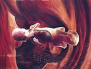 Coalesce | Custom Swirl Vinyl LP | 0:12 Revolution In Just