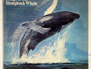 Songs of the Humpback Whale Vinyl LP 1970 Original Green Label VG+