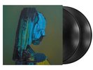 The Caretaker Everywhere At The End Of Time - Stage 4 2 LP Black Vinyl SEALED
