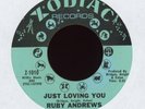 Ruby Andrews - Just Loving You on Zodiac Northern Soul 45
